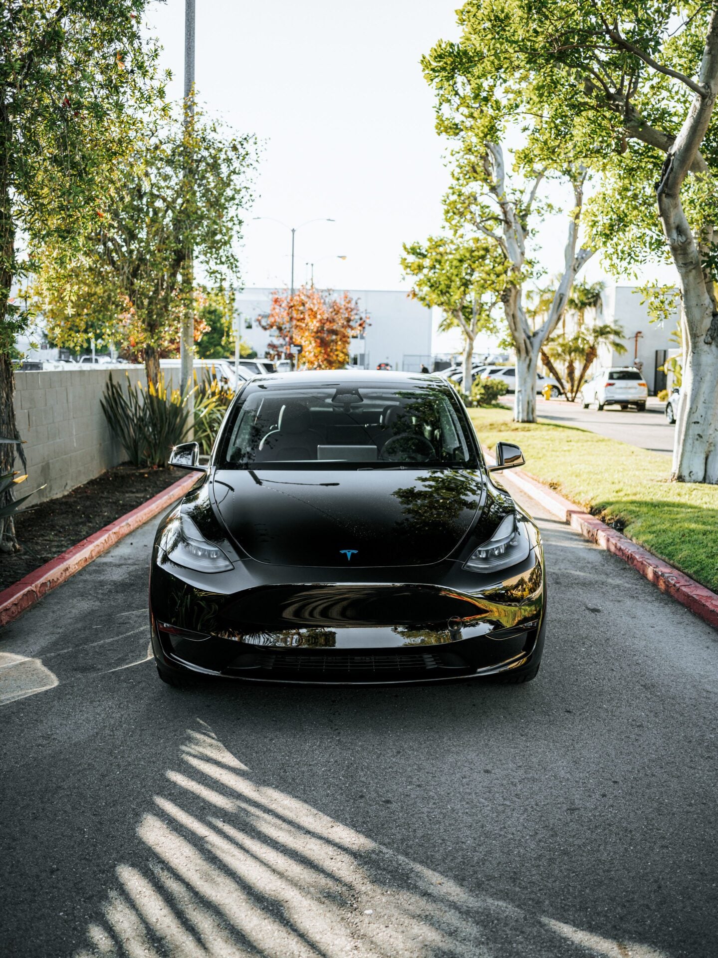 A sleek black Tesla Model Y, showcasing the enhanced gloss and protection achieved through a professional ceramic coating application and comprehensive car detailing at a location potentially near Western Sydney, Chipping Norton. The image highlights the deep shine of the paint and the clean lines of the vehicle, demonstrating the high-quality ceramic coating and car detailing services available in the Sydney area. If you're looking for premium ceramic coating and expert car detailing near me.